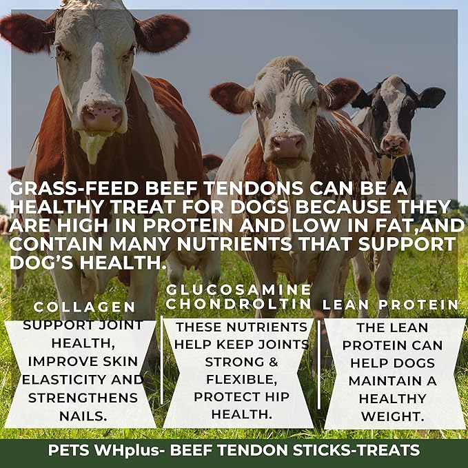 Beef Tendon Dog Treats, Single Ingredient, 100% Natural, Grass-Fed, Long-Lasting Rawhide-Free Chews, Collagen Protein, Dental &amp; Joint Support, 4 oz, Safe &amp; Grain-Free Snack