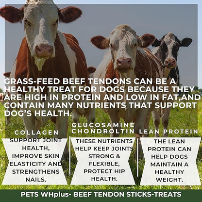 Beef Tendon Dog Treats, Single Ingredient, 100% Natural, Grass-Fed, Long-Lasting Rawhide-Free Chews, Collagen Protein, Dental &amp; Joint Support, 4 oz, Safe &amp; Grain-Free Snack