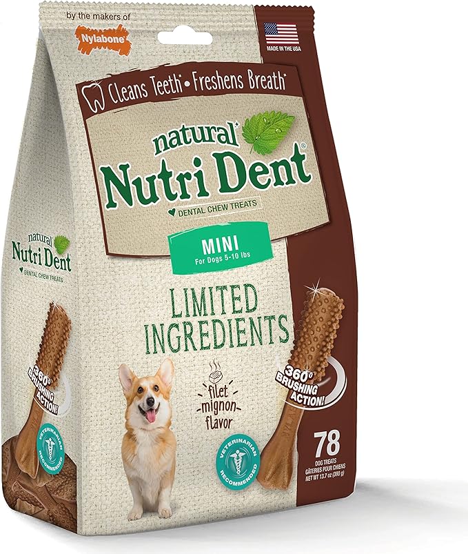 Nylabone Nutri Dent Dog Dental Treats - Natural Dog Teeth Cleaning &amp; Breath Freshener - Dental Treats for Dogs - Filet Mignon Flavor, Mini (78 Count)