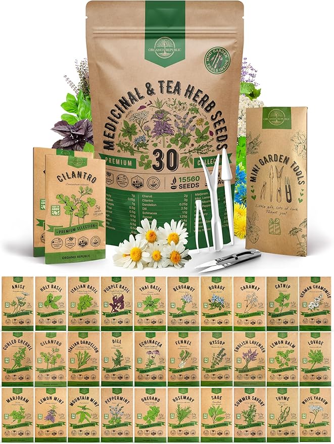 Organo Republic 30 Medicinal &amp; Tea Herb Seeds Variety Pack 15,560+ Non-GMO Heirloom Garden Seeds for Indoor &amp; Outdoors, Including Anise, Bergamot, Borage, Cilantro, Chamomile, Dandelion Seeds