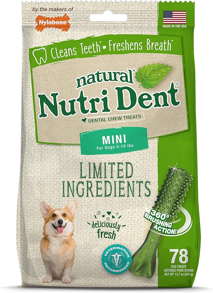 Nylabone Nutri Dent Dog Dental Chews, Natural Teeth Cleaning Treats &amp; Breath Freshener for Dogs, Fresh Mint Flavor, Mini (78 Count)