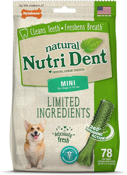 Nylabone Nutri Dent Dog Dental Chews, Natural Teeth Cleaning Treats &amp; Breath Freshener for Dogs, Fresh Mint Flavor, Mini (78 Count)