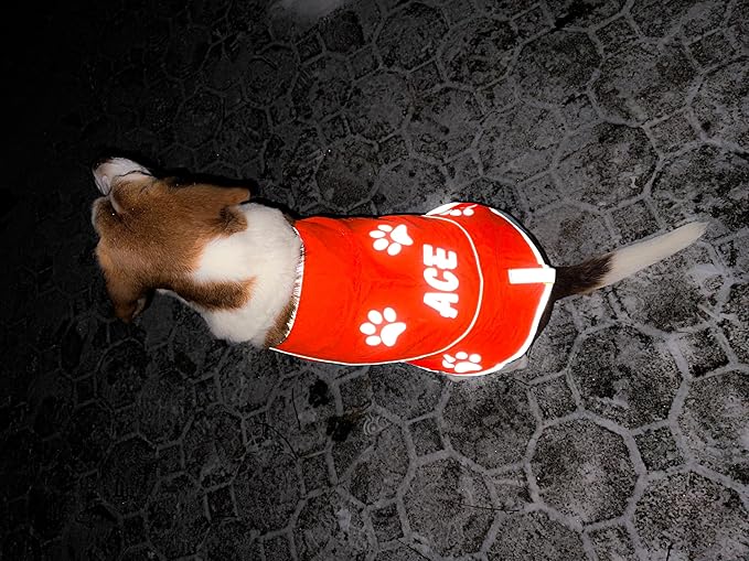 Custom Reflective Dog Vest High Visibility Reflective Jacket for Dogs Hunting Safety Gear with Elastic Strap &amp; Clasp, Comfortable, Perfect for Day and Night Walks!