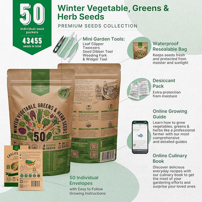 50 Winter Vegetable Garden Seeds Variety Pack - 43,450+ Non-GMO Heirloom Seeds for Outdoors &amp; Indoor Home Gardening, Including Kohlrabi, Lettuce, Radish, Onion, Choy, Spinach, Cauliflower, Collards