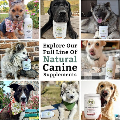 Wholistic Pet Organics Canine Complete - Dog Multivitamin Powder - 4 Lb - Daily Dog Vitamins and Supplements for Homemade Food - Immune System, Skin, Coat &amp; Overall Health - Small and Large Breed