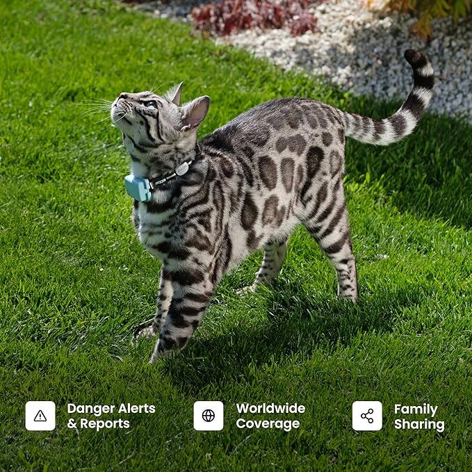 Tractive Smart Cat GPS Tracker | Real-Time Location &amp; Wellness Monitoring for Cats 6.5 lbs+ | Territory &amp; Location History | Up to 5-Day Battery | Breakaway Collar Included (Mint)