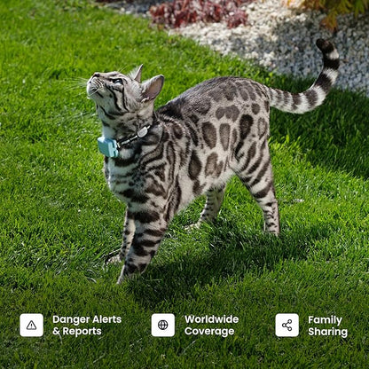 Tractive Smart Cat GPS Tracker | Real-Time Location &amp; Wellness Monitoring for Cats 6.5 lbs+ | Territory &amp; Location History | Up to 5-Day Battery | Breakaway Collar Included (Brown)