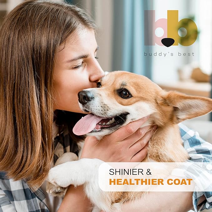 Salmon Oil for Dogs &amp; Cats – Omega 3 Supplement with EPA &amp; DHA | 100% Norwegian Fish Oil | Odorless, Human-Grade | Skin, Coat &amp; Joint Support | 32 oz | Buddy’s Best