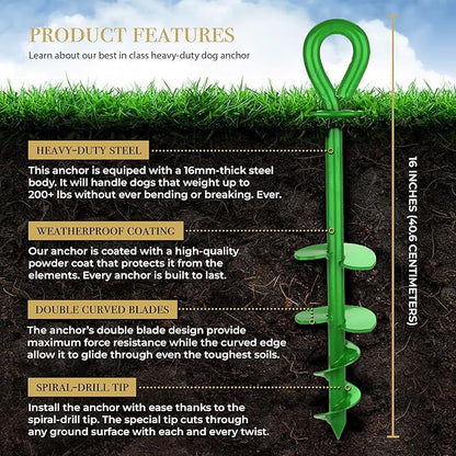 ROYAL-PAW Dog Tie Out Stake - for Large Dogs up to 210 lbs - Heavy Duty Dog Stake for Yard, Beach &amp; Camping Outside - Best in Ground Anchor for a Dog Cable, Leash, Lead Tether (Green)