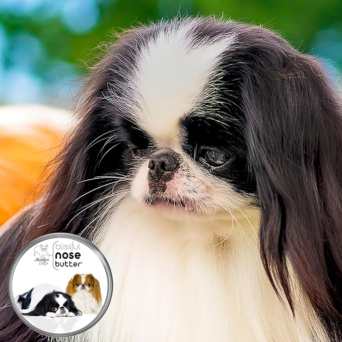 The Blissful Dog Japanese Chin Unscented Nose Butter - Dog Nose Butter, 16 Ounce