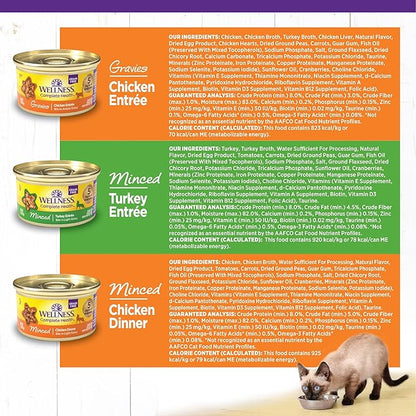 Wellness Complete Health Gravy and Minced Adult Wet Cat Food, Natural, Protein-Rich, Grain-Free, 3 Ounce, 12 Pack, (Chicken &amp; Turkey Lovers Variety Pack)