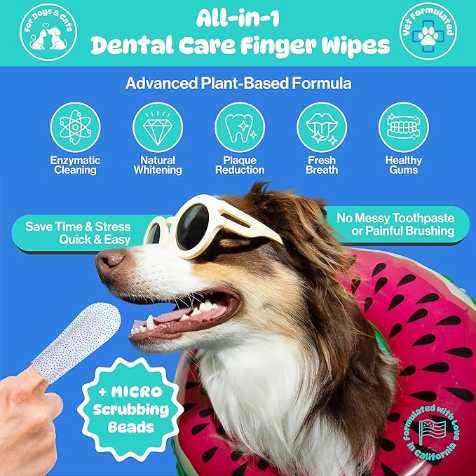 All-in-1 Dog Teeth Cleaning Wipes | Enzymatic Whitening + Premium Scrubbing Beads | No Mess, Pet Dental Wipes &amp; Finger Tooth Brushing Kit | Plant-Based Dental Care for Cats &amp; Dogs (60 Count)