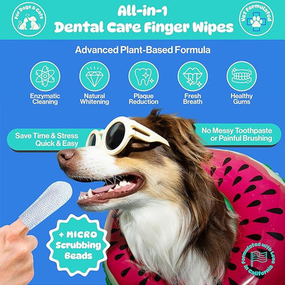 All-in-1 Dog Teeth Cleaning Wipes | Enzymatic Whitening + Premium Scrubbing Beads | No Mess, Pet Dental Wipes &amp; Finger Tooth Brushing Kit | Plant-Based Dental Care for Cats &amp; Dogs (60 Count)