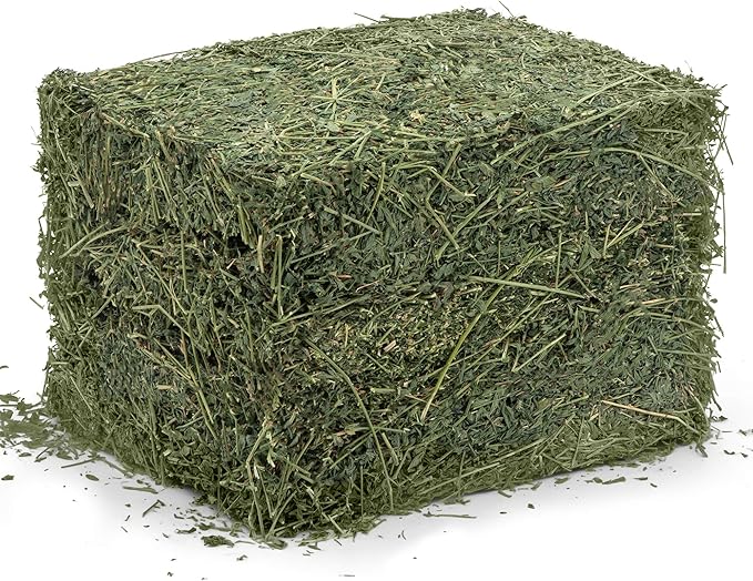 High Desert Alfalfa Hay for Rabbits, Guinea Pigs, Chinchillas &amp; Small Pets – Protein-Rich Natural Hay for Young, Growing Animals – High-Fiber, Hand-Packed, Additive-Free, Grown in USA – 10 lb Box