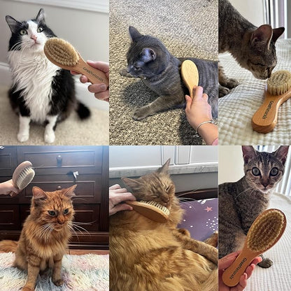 GranNaturals Boar Bristle Soft Cat Brush for Indoor, Outdoor, Short Haired Cats, Kittens, Small Dog, Rabbit, Furry Pets - Gentle Grooming on Sensitive Hair Coat &amp; Tail with Durable Wooden Handle