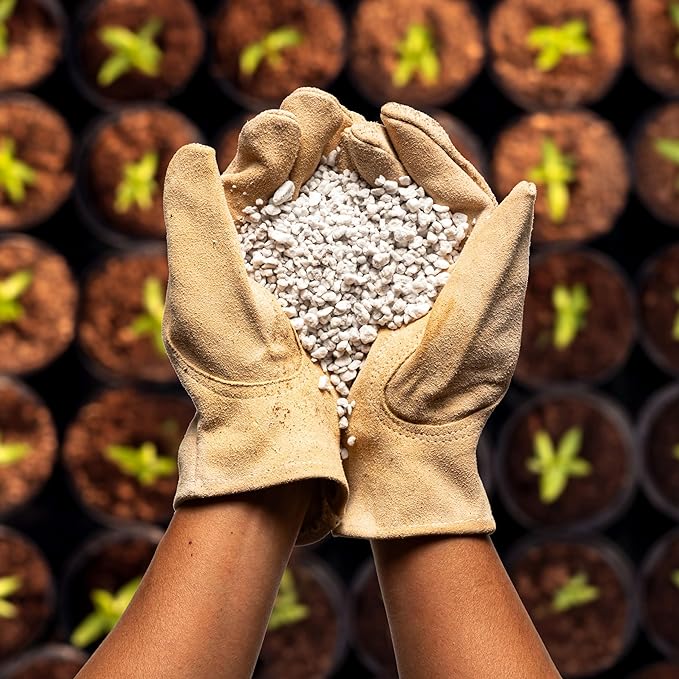 Perlite Bliss (24 Qts) - Organic Perlite for Plants - Coarse Perlite Bulk Soil Amendment - Chunky Perlite for Plants, Potting Soil, Garden Soil, &amp; Coco Coir - Horticultural Perlite for Gardening