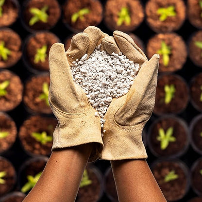 Perlite Bliss (24 Qts) - Organic Perlite for Plants - Coarse Perlite Bulk Soil Amendment - Chunky Perlite for Plants, Potting Soil, Garden Soil, &amp; Coco Coir - Horticultural Perlite for Gardening