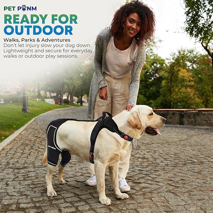 Petpanm- Adjustable Dog Knee Brace- Right Hind Leg with Integreted Harness- Premium Support for Torn ACL, Sprains &amp; Strains Recovery, Enhances Mobility, Comfortable Neoprene - (XLarge).