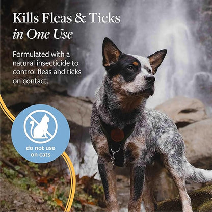 Veterinary Formula Flea and Tick Spray for Dogs, 8 oz – Easy-to-Use Dog Flea Spray, Kills on Contact, Prevents Egg &amp; Larval Development for 14 weeks
