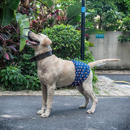 CuteBone Belly Wrap Male Dog Washable Puppy Diapers Reusable Doggie Diapers XSmall 3pcs a Pack DM02XS