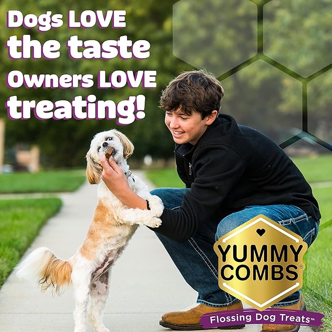 Dog Dental Treats – Vet VOHC Approved, Removes Tartar &amp; Cleans Teeth – Yummy High Protein Chicken Treat for Large Dogs (Mini Pack, 6 Count)