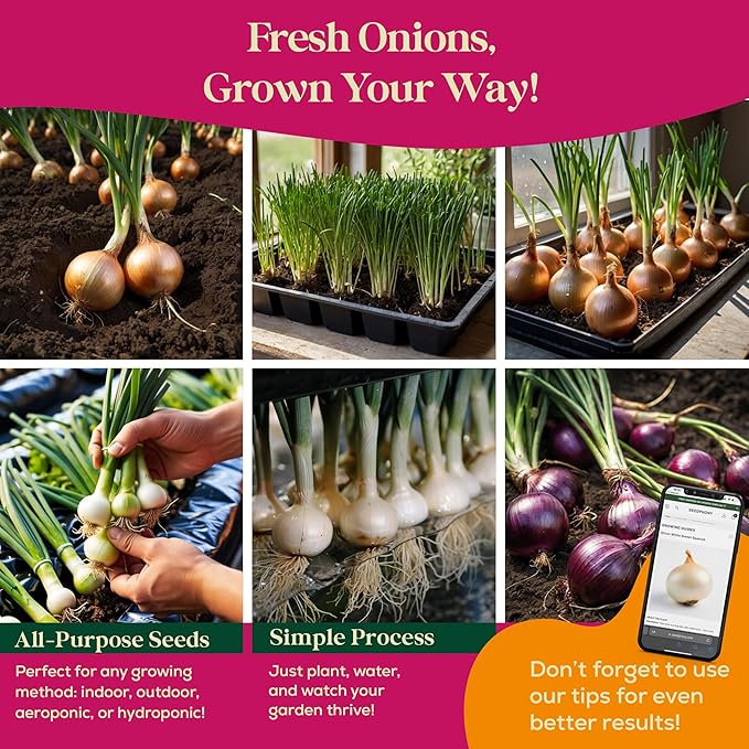 10 Gourmet Onion Seeds for Planting Variety Pack - 2,900+ Non-GMO Heirloom Vegetable Seeds for Growing Indoor &amp; Outdoor: Red Burgundy, Leek, Walla Walla, Grano White &amp; Yellow Sweet Spanish
