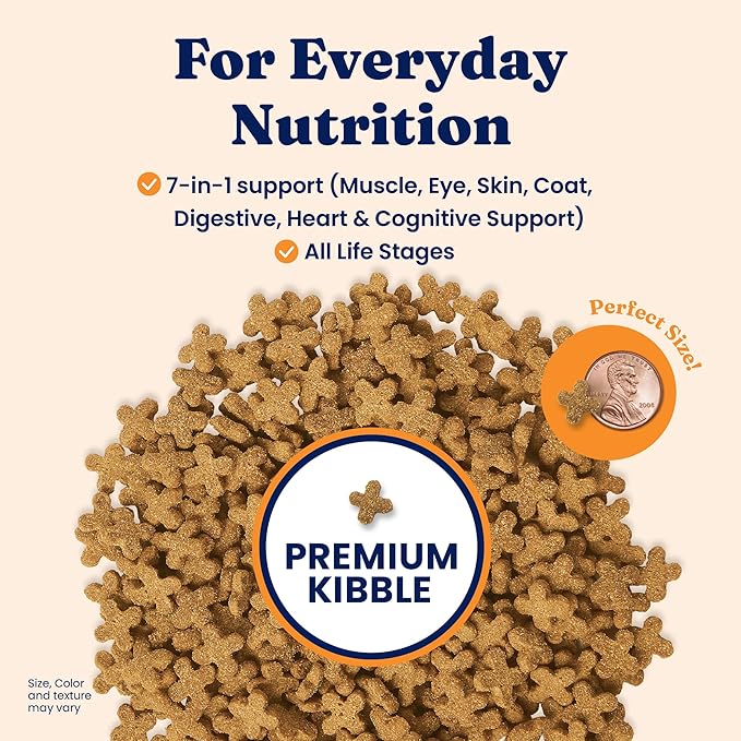 Solid Gold Dry Cat Food for Indoor Cats of All Ages - W/Lamb, Brown Rice, Barley, Probiotics &amp; Fiber for Gut Health- Holistic &amp; Healthy Cat Kibble for Kittens &amp; Adults - Dry Kibble for Cats - 12 LB