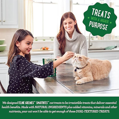 Greenies Feline Smartbites Skin &amp; Fur Crunchy and Soft Natural Cat Treats, Salmon Flavor, 4.6 oz. Pack (Pack of 2)