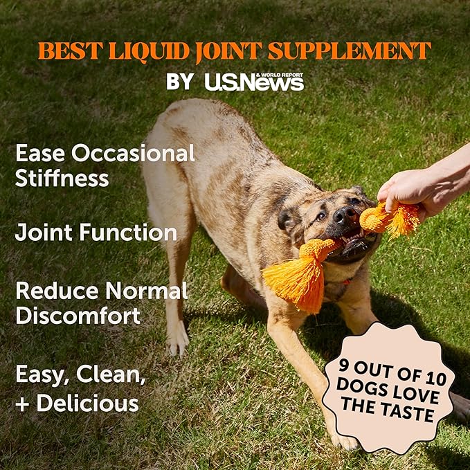 Dog Joint Supplement with Salmon Oil for Dogs - Ease Stiffness, Reduce Discomfort &amp; Support Joint Mobility Liquid Supplement, Dog Food Topper Bone Broth with Glucosamine for Dogs (12 oz)