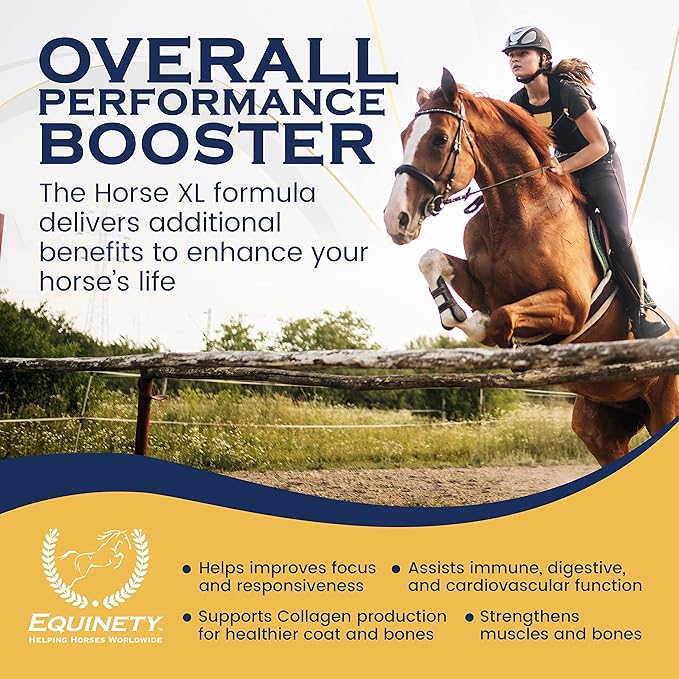 100-Day Supply Horse XL Supplements – Horse Care Weight Gain Supplement W/ 8 Amino Acids - No Soy or Sugar Coat Defense for Horses - Joint Supplement, Equine Supplies &amp; Hoof Supplements