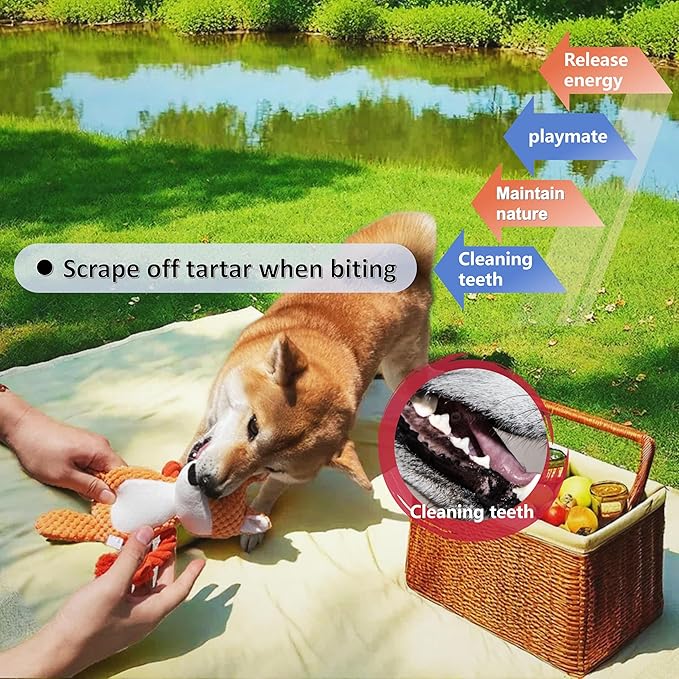Nana Petit Fox Squeaky Dog Toys for Small &amp; Medium Dogs – Plush Chew Toy, Interactive Puppy Teething Toys for Aggressive Chewers, Cute Stuffed Animal for Play, Training &amp; Indoor Fun