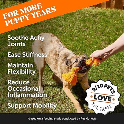 Hemp Hip &amp; Joint Supplement for Dogs - Hemp Oil &amp; Powder - Glucosamine Chondroitin for Dogs, Turmeric, MSM, Green-Lipped Mussel, Supports Mobility, May Reduce Discomfort (Bacon)