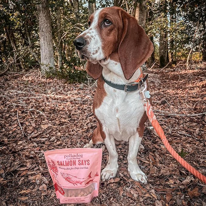 Polkadog Salmon Says Training Bits - Omega-3 Rich, Low Fat Healthy Dog Treat - Digestible, Vitamin &amp; Mineral Packed Dog Snacks - Crunchy 3-Ingredient Treat, Ideal for Dogs with Allergies - 7oz