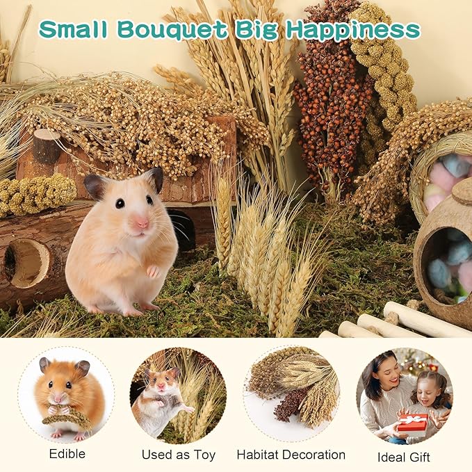 Hamster Spray Set - Natural Snack Grains &amp; Chew Toys for Cage Decoration Accessories, Soft Bedding for Dwarf Syrian Hamsters, Gerbils, Mice &amp; Small Pets