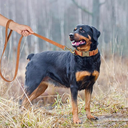 Didog Soft PU Leather Dog Collar, Stylish Quick Released Dog Collar for Large Dogs, Easy Clean Adjustable Pet Collar for Daily Walking, Light Brown, L Fit 15-23" Neck