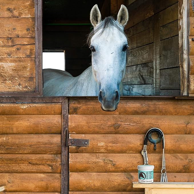 COAT DEFENSE Trouble Spot Drying Paste for Horses - Natural Equine Wound Care That Provides Safe &amp; Effective Relief from Scratches, Sweet Itch, Summer Sores, Proud Flesh, Mud Fever, Girth Rot (10 Oz)