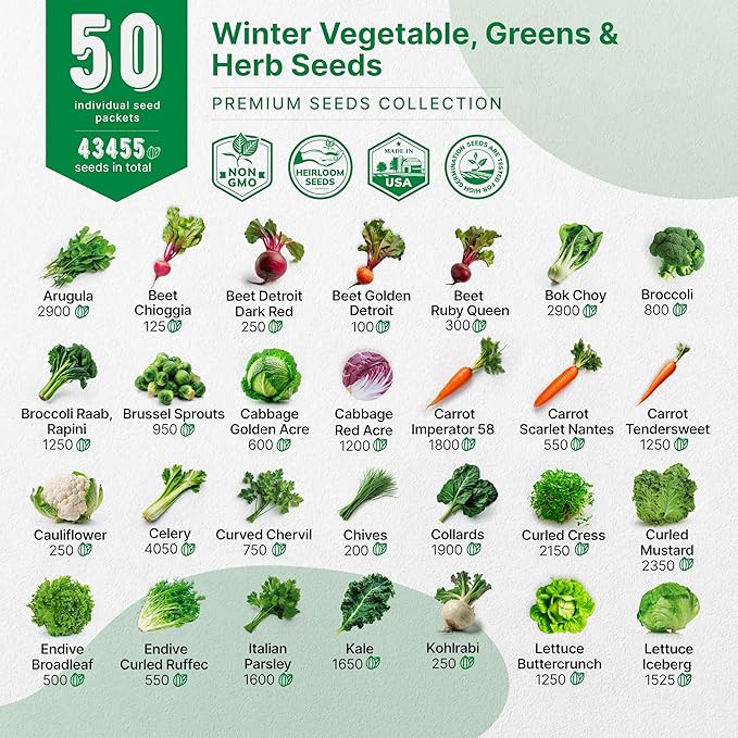 50 Winter Vegetable Garden Seeds Variety Pack - 43,450+ Non-GMO Heirloom Seeds for Outdoors &amp; Indoor Home Gardening, Including Kohlrabi, Lettuce, Radish, Onion, Choy, Spinach, Cauliflower, Collards