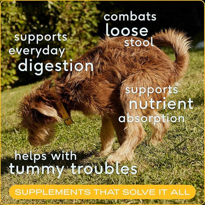 Native Pet Omega Oil for Dogs &amp; Pumpkin for Dogs | Dog Fish Oil Supplements | All-Natural, Organic Pumpkin Fiber for Dogs | 8 Oz. Omega Oil &amp; Pumpkin Powder
