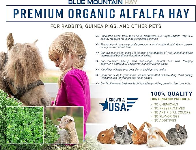 Blue Mountain Hay High-Altitude Hay - Organic Alfalfa, 25lb - High Protein, Fiber &amp; Mineral-Rich - Soft, Leafy, High Leaf Retention - Ideal for Goats, Rabbits, Guinea Pigs &amp; Other Small Animals