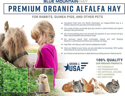 Blue Mountain Hay High-Altitude Hay - Organic Alfalfa, 10lb - High Protein, Fiber &amp; Mineral-Rich - Soft, Leafy, High Leaf Retention - Ideal for Goats, Rabbits, Guinea Pigs &amp; Other Small Animals