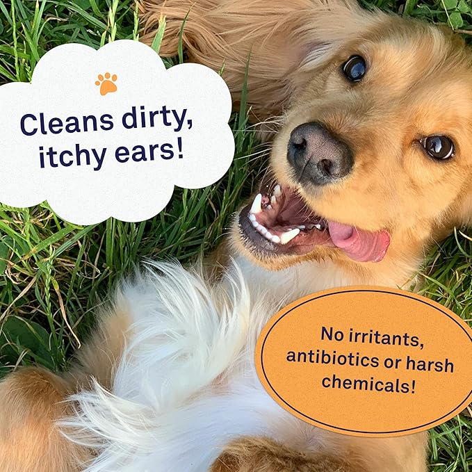 Petpost | Dog Ear Cleaner Wipes - Ultra Soft Cotton Pads in Coconut Oil Aloe Solution - Dog Ear Rinse &amp; Cleanser 100 ct.