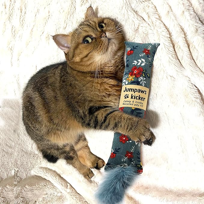 2 Pack Natural Interactive Catnip &amp; Silvervine Cat Kicker with Feathers, Bite Resistant Chew Toy, Crinkle Kicker, Accessories for Indoor Cat, Premium Corduroy Floral
