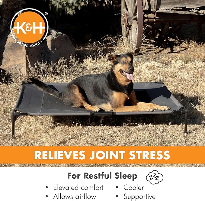 K&amp;H Pet Products Outdoor Elevated Dog Cot, Breathable Cooling Elevated Cot Hammock Pet Bed for XL Dogs, Washable Mesh Cover, Raised Metal Frame, Collapsible, Portable - Jumbo 56 X 38in Charcoal
