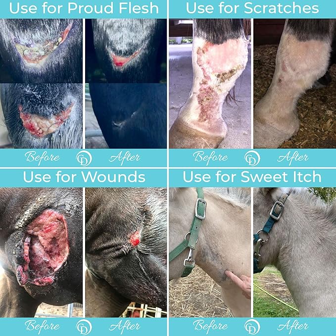 COAT DEFENSE Trouble Spot Drying Paste for Horses - Natural Equine Wound Care That Provides Safe &amp; Effective Relief from Scratches, Sweet Itch, Summer Sores, Proud Flesh, Mud Fever, Girth Rot (24 Oz)