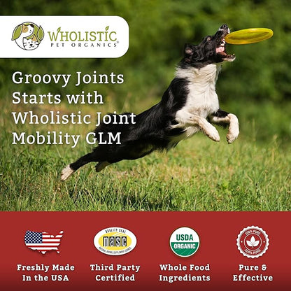 Wholistic Pet Organics Joint Mobility GLM - 2 Lb - Glucosamine for Dogs and Chondroitin Supplement Green Lipped Mussels - Joint Supplement for Dogs - Arthritis Pain Reliever for Large &amp; Small Breeds