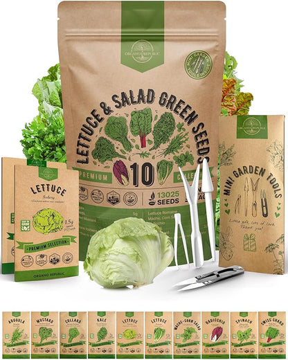 Organo Republic 10 Lettuce &amp; Salad Greens Seeds Variety Pack 13000+ Non-GMO Heirloom Lettuce Seeds for Planting Indoors &amp; Outdoors Garden, Hydroponics - Arugula, Radicchio, Kale, Spinach, Swiss Chard