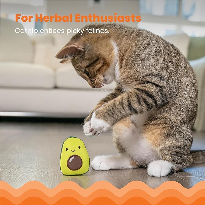 Catstages Lil&