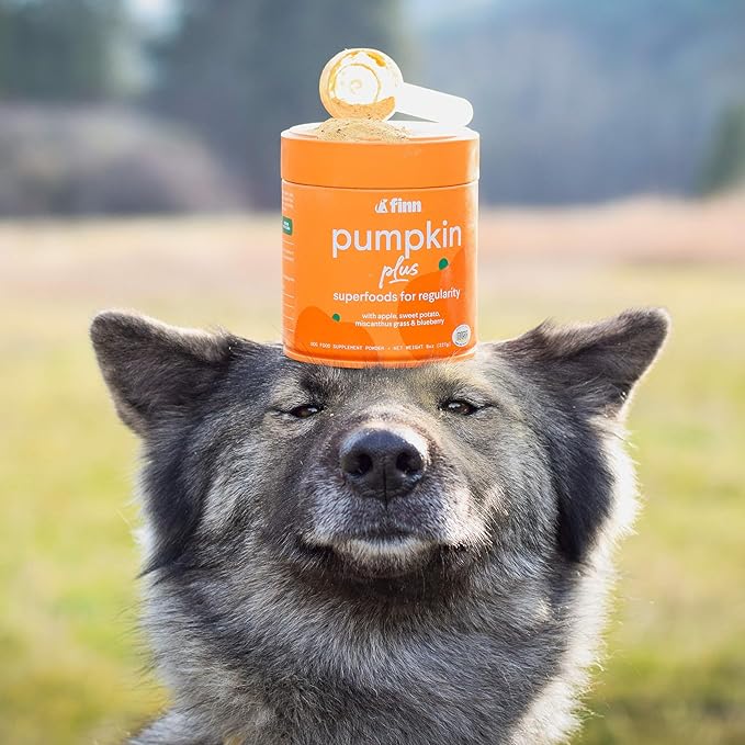 Finn Pumpkin Plus: Daily Digestive Support &amp; Fiber-Rich Topper for Dogs | Promotes Regularity &amp; Gut Health with Superfoods
