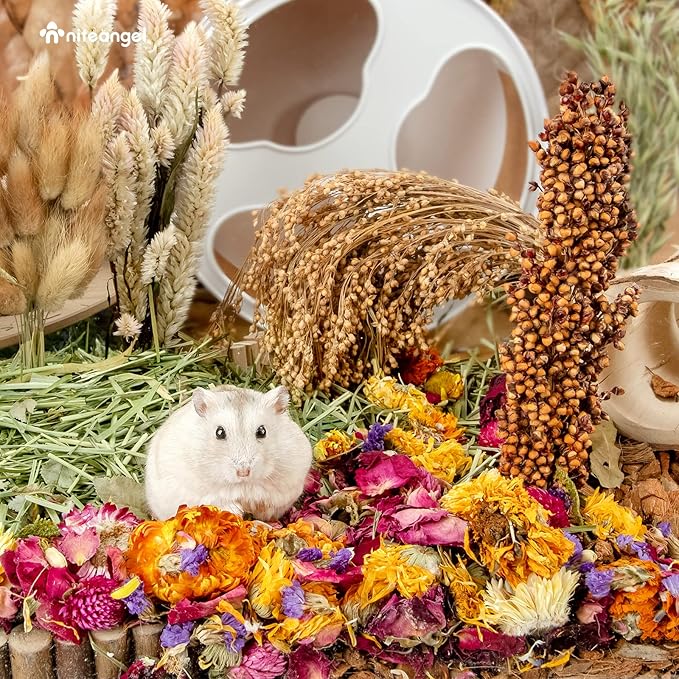 Niteangel Natural &amp; Soft Hamster Bedding Mate Small Animal Habitat Decor for Syrian Dwarf Hamsters Gerbils Mice Degus Bunny or Other Small-Sized Pet (Flowers Scent Path)