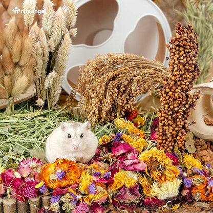 Niteangel Natural &amp; Soft Hamster Bedding Mate Small Animal Habitat Decor for Syrian Dwarf Hamsters Gerbils Mice Degus Bunny or Other Small-Sized Pet (Flowers Scent Path)